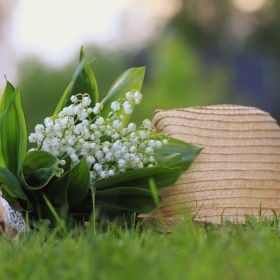 Bouquet de muguet à côté d’un chapeau dans l’herbe 